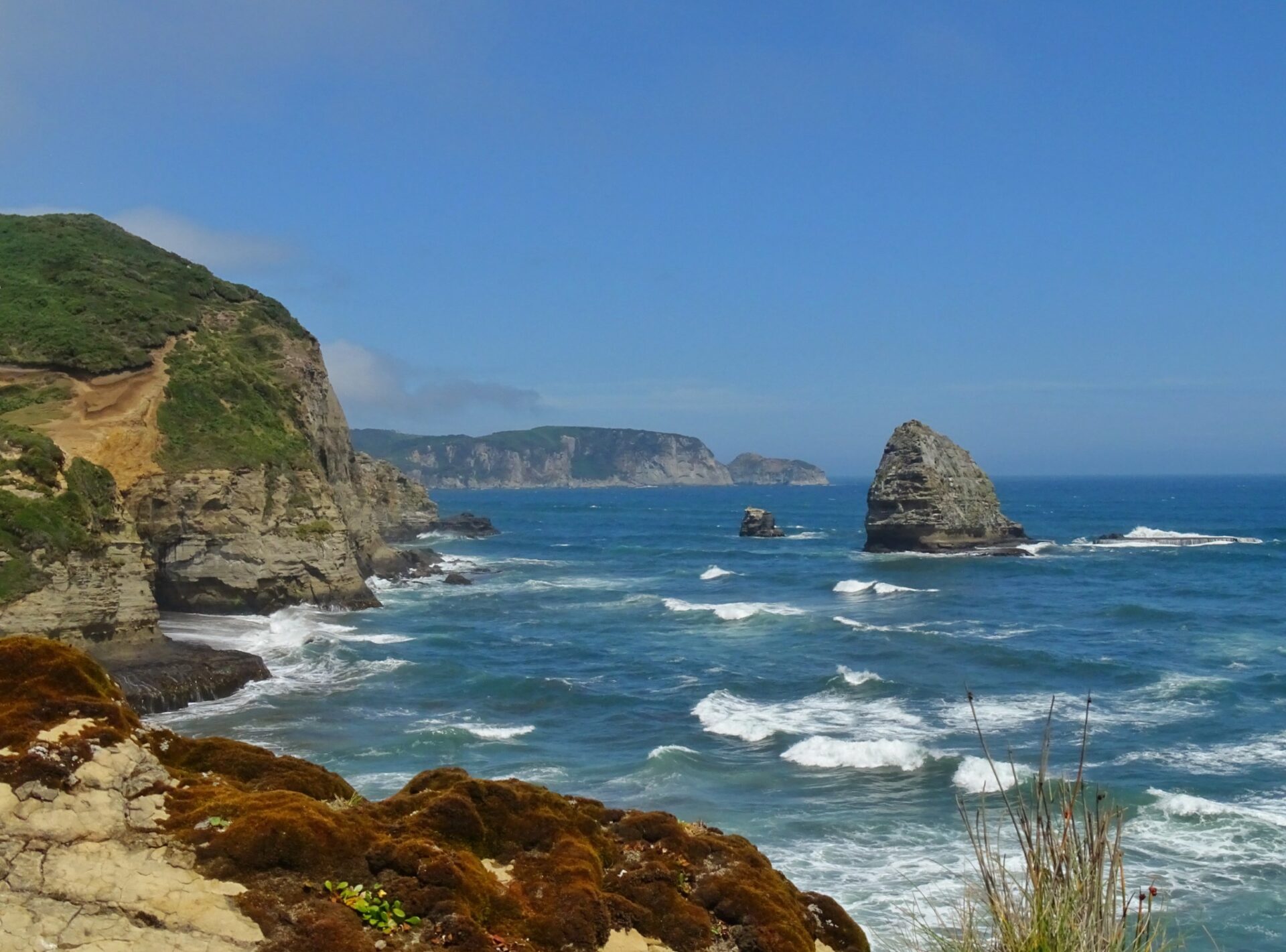 Rocky coastline and sea stack along the shores of Parque Tepuhueico, Chiloé Island, Chile