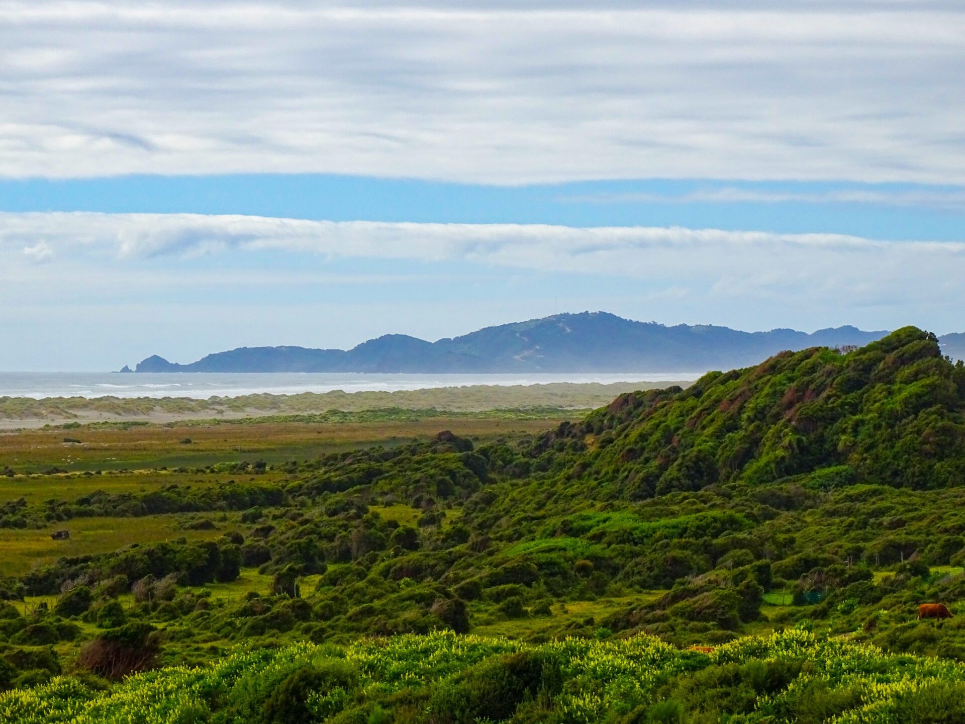 Coastal dunes and native vegetation overlooking Playa de Cucao, Chiloé Island, Chile