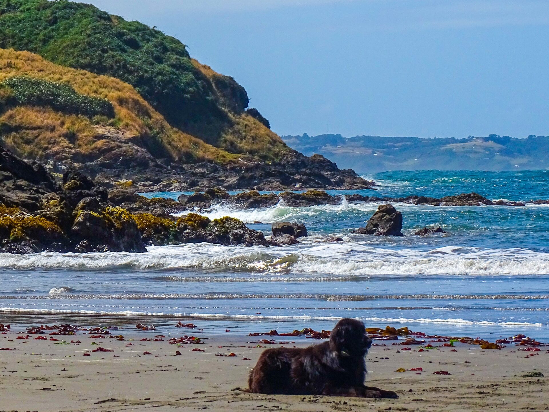 Rocky shoreline and waves at Punihuil Beach, Chiloé Island, Chile