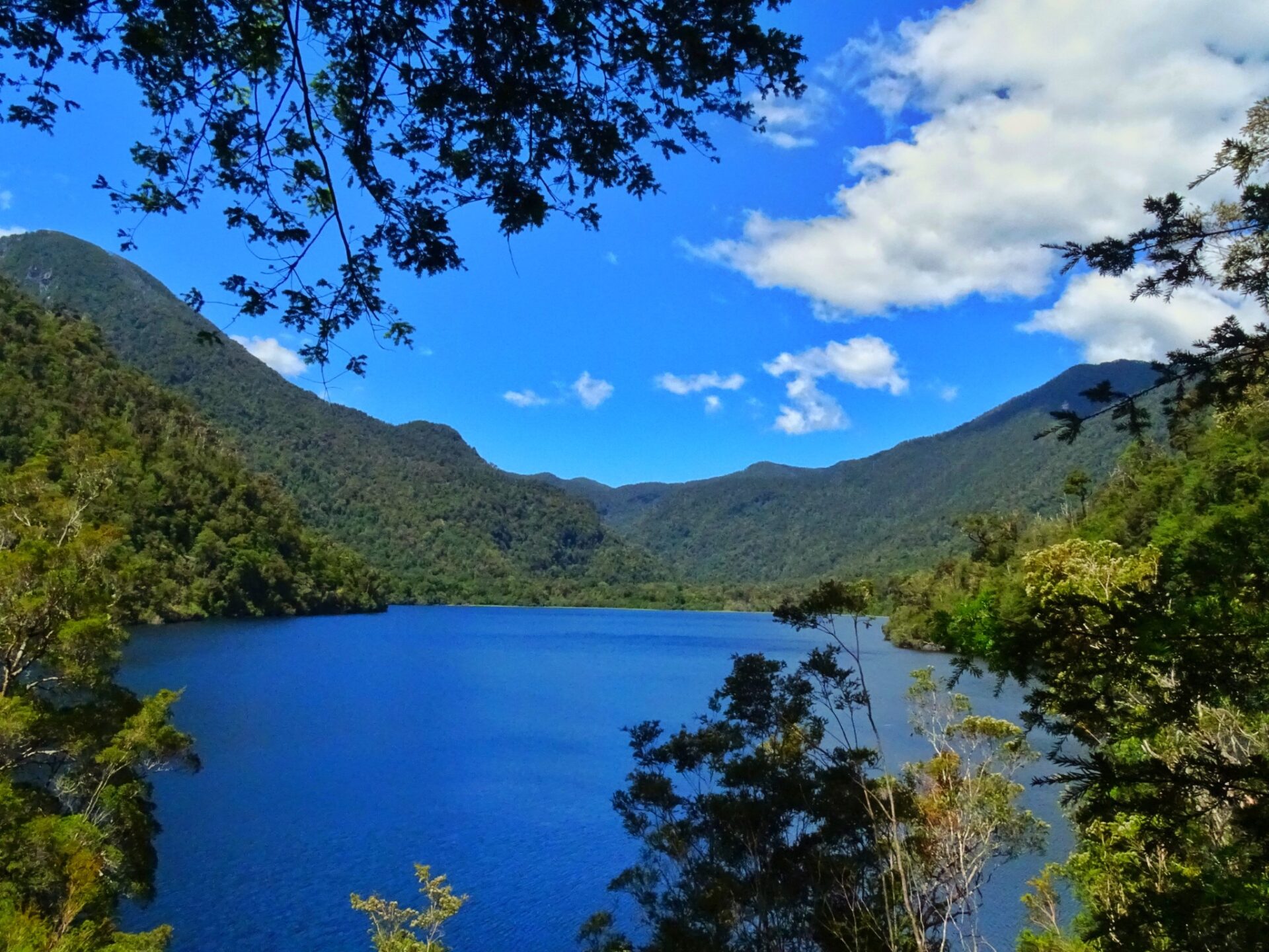 Mountain lake surrounded by native forest in Alerce Andino National Park, Chile
