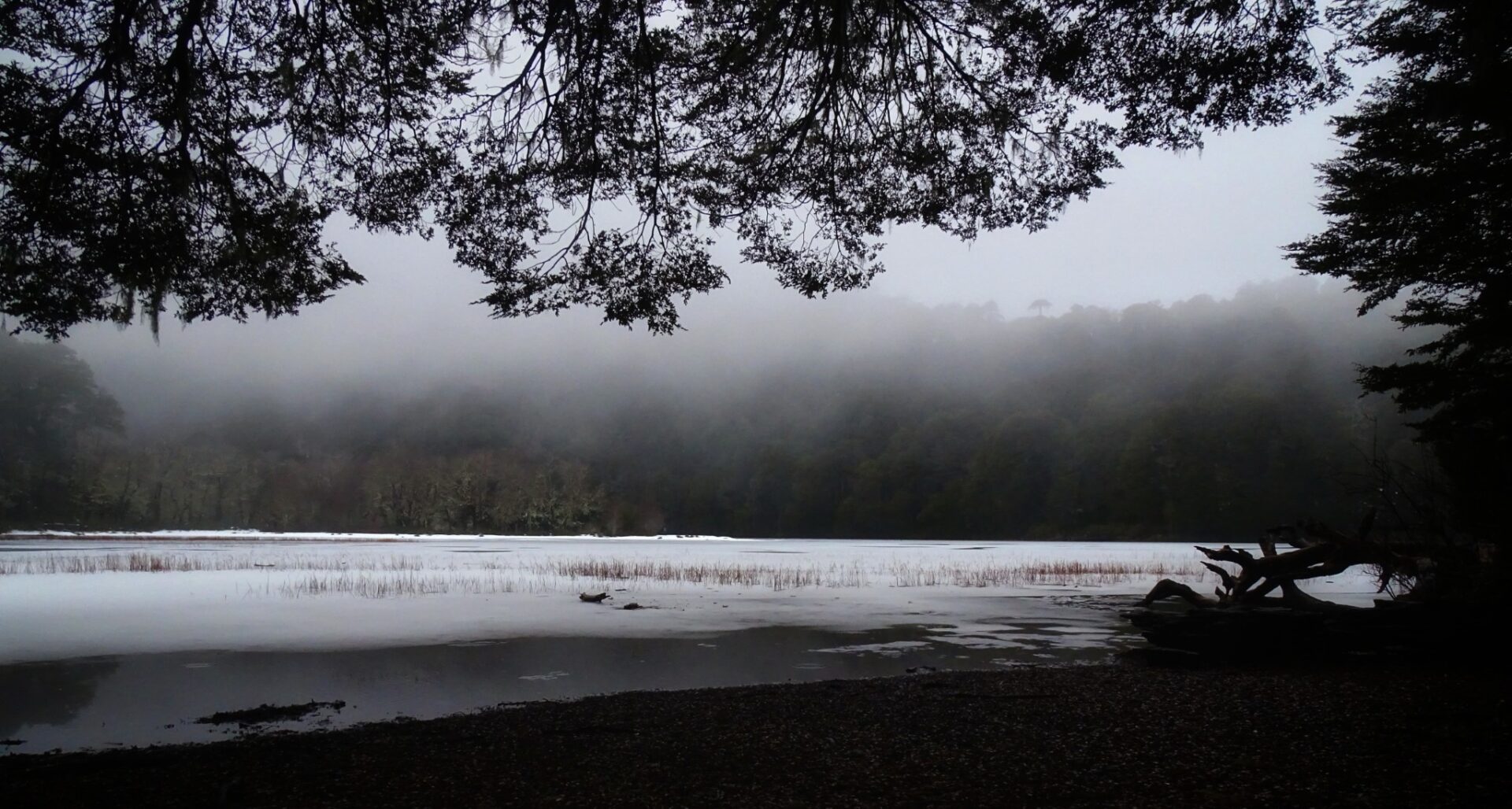 Fog drifting over El Cañi Lagoon surrounded by native forest in El Cañi Sanctuary, Chile