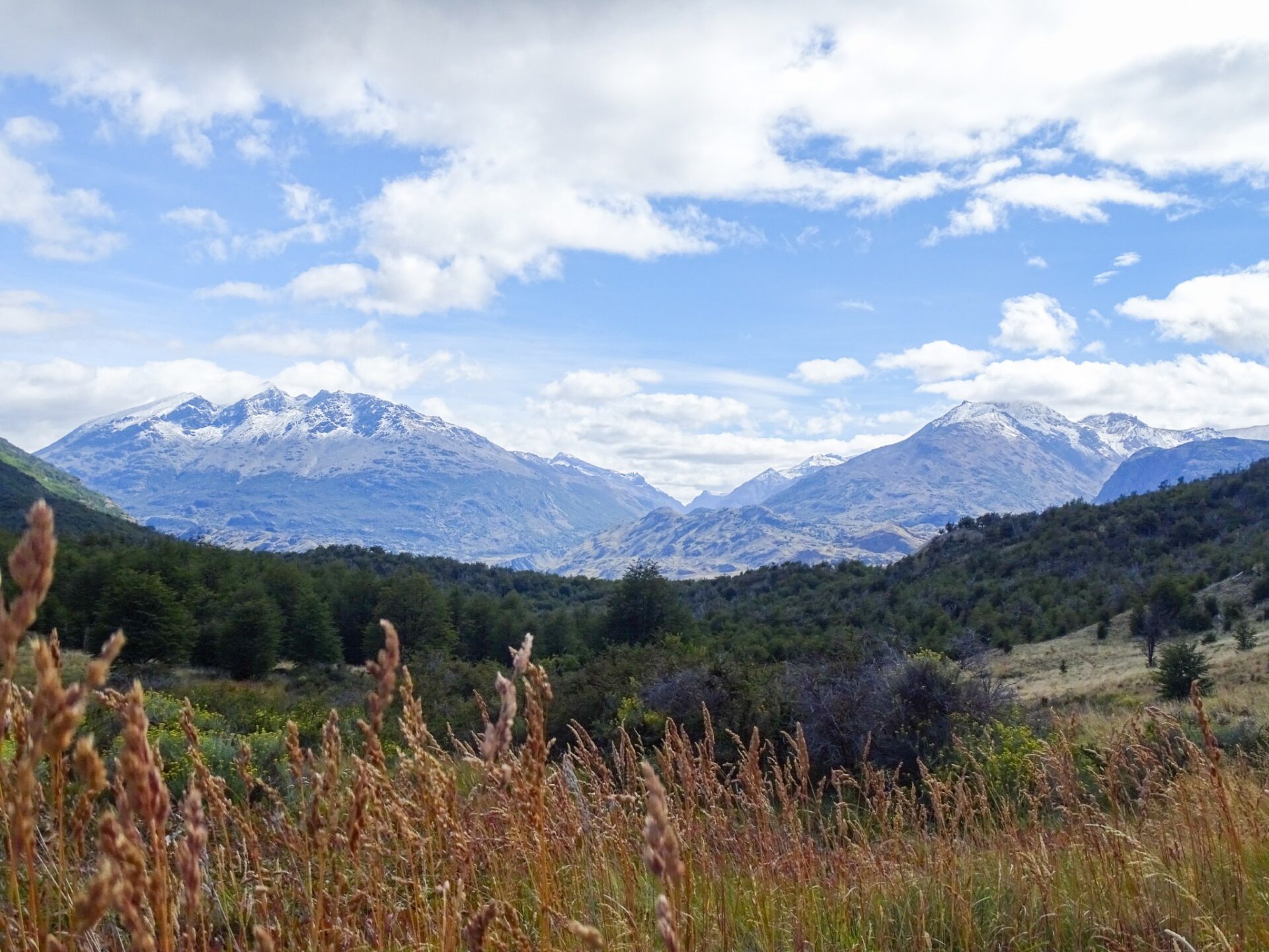 Snow-capped mountain range rising above forested hills beneath a bright sky with scattered clouds.