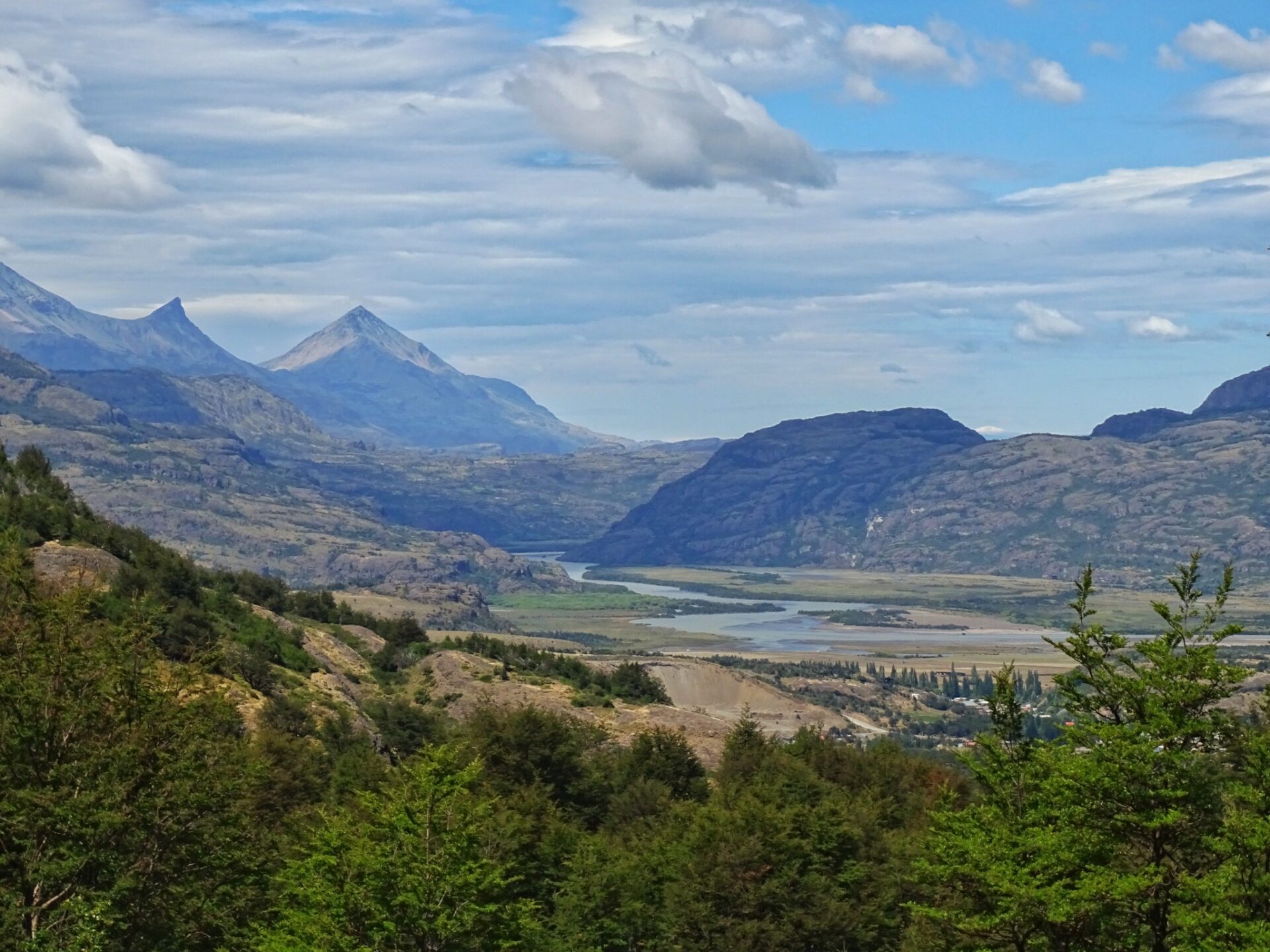 Bird of prey soaring over Patagonia beneath a clear blue sky.