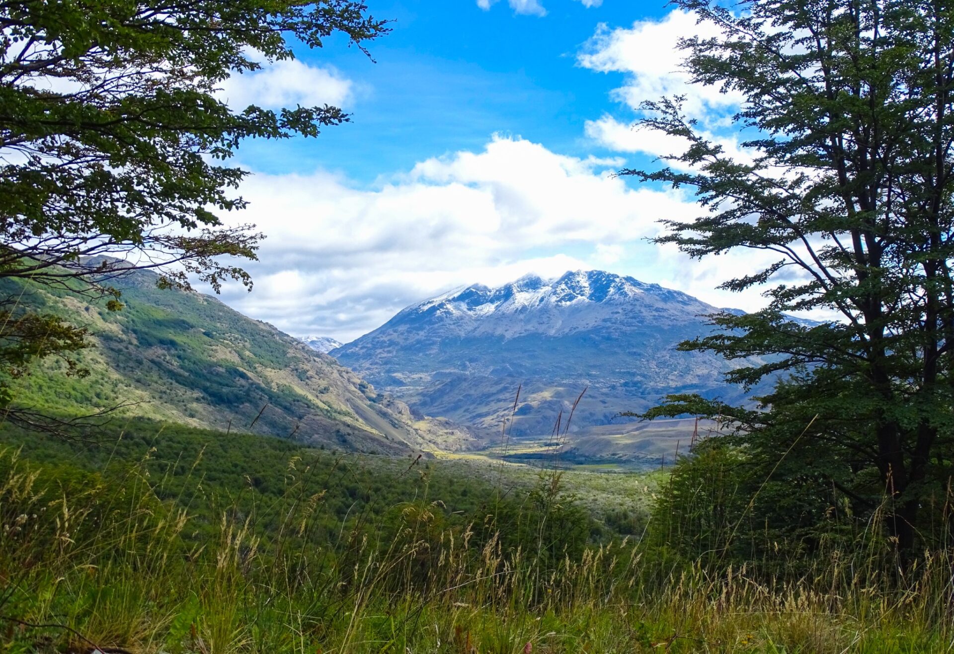 Crystal-clear river flowing through a forested valley in Patagonia.