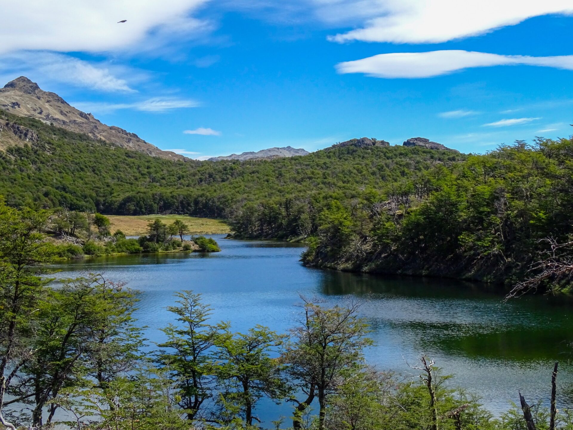 Laguna Meche surrounded by native forest and rolling hills beneath a clear blue sky.