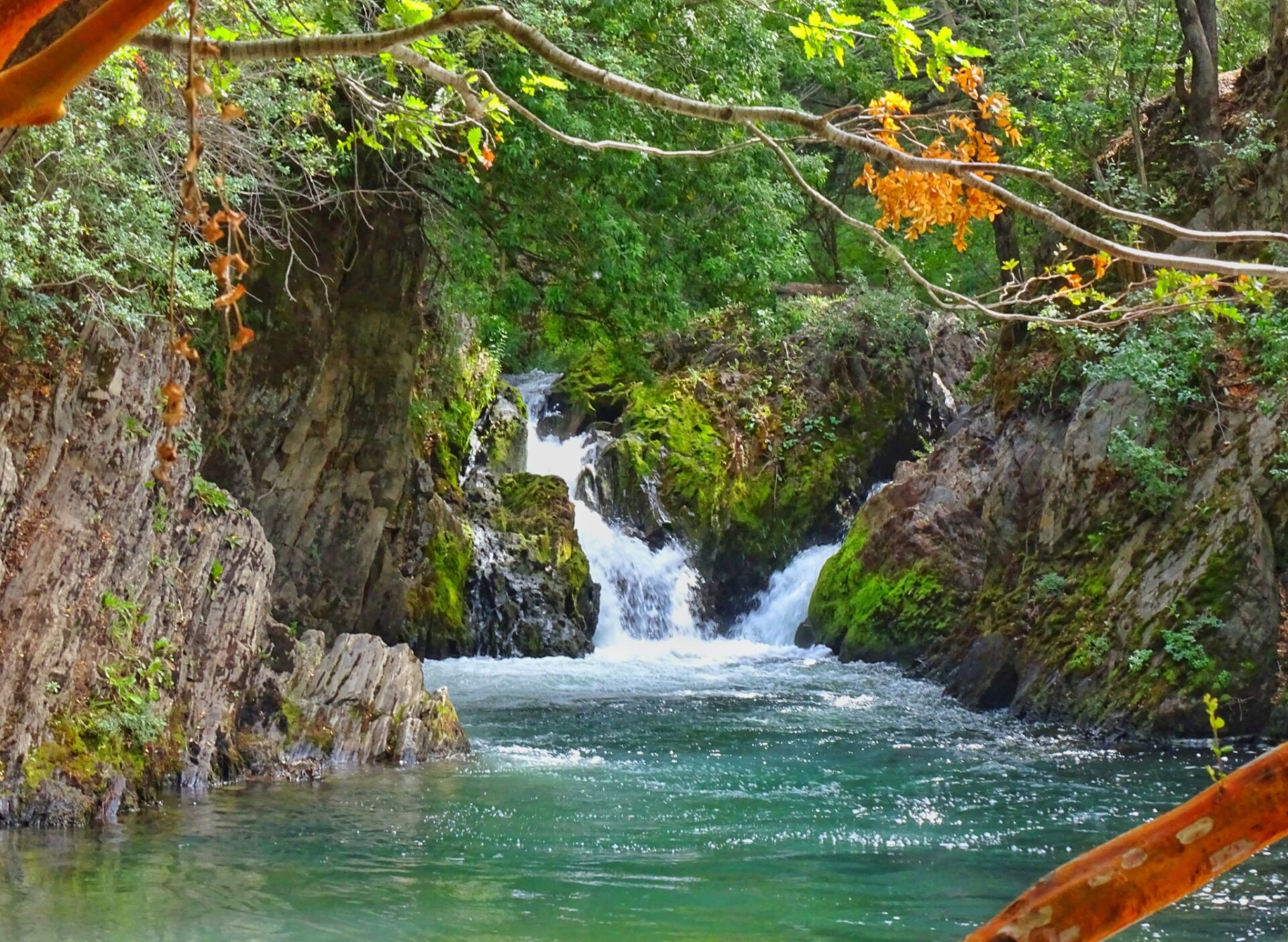 Waterfall flowing through a rocky forest gorge in Puerto Río Tranquilo.